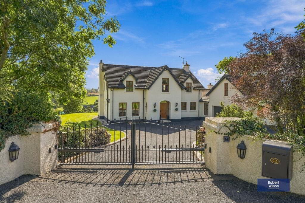 42 Dublinhill Road, Dromore, BT25 1SY