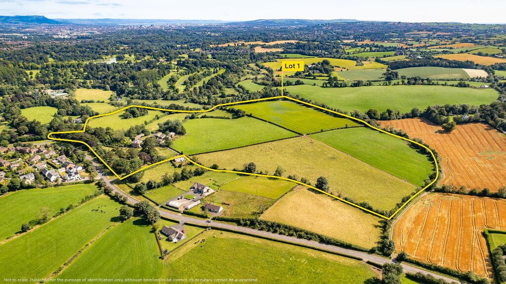 Lot 1 - Ballyowan House & Farm, 44/50 Drumbeg Road, Dunmurry, BT17 9LE