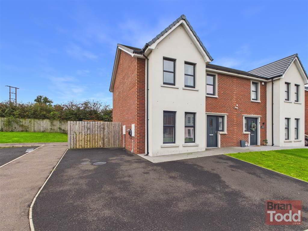 Blackthorn Rise, Larne, BT40 2HJ